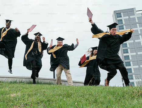 Fresh Graduate